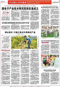 重慶高等院校技術轉讓成果豐碩，去年簽訂合同730項推動創新發展