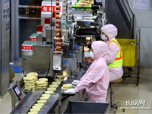 河北隆堯縣 加緊生產 保障供應