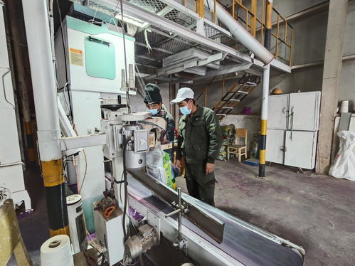 新疆阿拉爾 制種企業生產忙 鉚足干勁備春耕