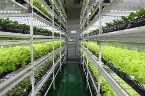 中國人的農(nóng)業(yè)情懷 未來農(nóng)業(yè)是什么樣的